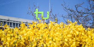 TU im Frühling_04 Das TU-Logo umgeben mit gelben Blüten von Blumen.